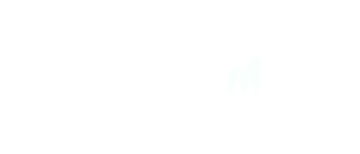 Gorilla - Accounting services